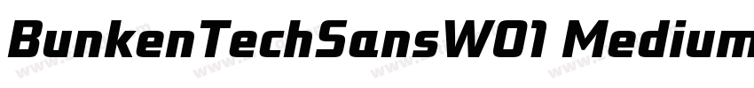 BunkenTechSansW01 MediumIt字体转换 BunkenTechSansW01 MediumIt字体转换